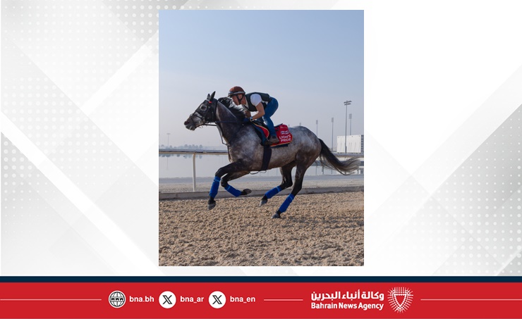 نادي راشد للفروسية وسباق الخيل يرفع استعداداته التنظيمية لاستضافة النسخة السابعة من سباق كأس البحرين الدولي